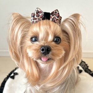 画像2: ＵＳＡリボン・バタフライリボン・ヒョウ柄×黒ベルベット（ＪＤバレッタ）