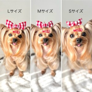 画像2: バニーリボン・赤チェック模様・3サイズからおえらびください。（JDバレッタ）