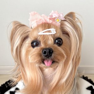 画像2: ピーチガーゼ地フワフワリボン×ピーチピンクサテン&お花チャーム（JDバレッタ）