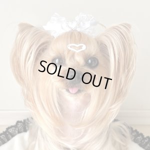 画像2: 白レース×白サイドフリルオーガンジー×サテン＆ハートラインストーン付バックル（ＪＤバレッタ）