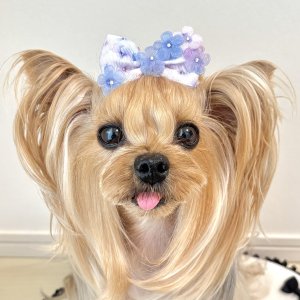 画像2: あじさいカラー・あじさい模様リボン×ブルー系スワロフスキーラインストーン付シフォンお花（JDバレッタ）