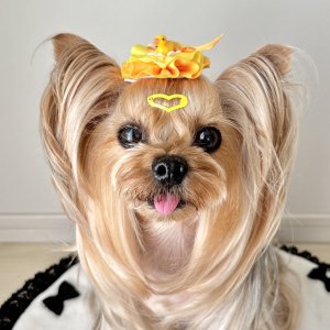 画像5: サークルフリルルボン・黄色と山吹グログラン×山吹サテン&あひるちゃん&スワロフスキーラインストーン（ＪＤバレッタ）