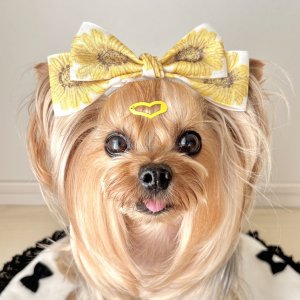 画像2: Bigバタフライリボン・ひまわり模様（ＪＤバレッタ）