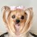 画像2: トリプルリボン・ピーチピンクサイドフリルサテン×白レース×ピーチピンクサテン（ＪＤバレッタ） (2)