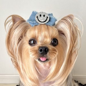 画像2: クロスリボン・サイドフリンジデニムリボン&シルバーラメニコちゃん（ＪＤバレッタ）