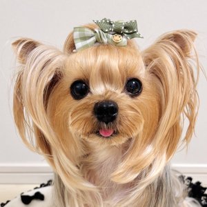 画像2: プリンセスリボントッピング・ライトカーキチェック模様×カーキステッチ&ゴールドカラーニコちゃんチャーム（ＪＤバレッタ）