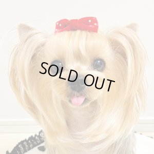 画像2: 赤ベルベット×スワロフスキーラインストーン（ＪＤバレッタ）