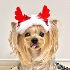 画像2: トナカイリボン・赤トナカイの角&白エコファー×赤緑チェック模様×赤サテン（ＪＤバレッタ）