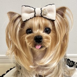 画像2: ベージュ色コーデュロイ風布リボンサイド黒ピコット&ストーン付ゴールドカラーカメリアチャーム（ＪＤバレッタ）