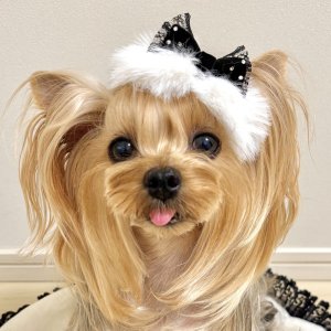 画像2: ３Dリボン・白エコファー×黒レース×スワロフスキーラインストーン付黒ベルベット（ＪＤバレッタ）