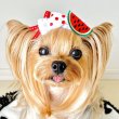 画像2: トリプルリボン・赤ステッチ×白サイドフリルサテン×白地赤ドット＆スイカ刺繍ワッペン（ＪＤバレッタ）