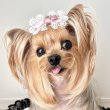 画像2: 白フラワーレース&アンティークピンクサテン（ＪＤバレッタ）
