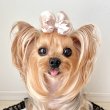 画像2: Wリボン・ライトベージュフリルフラワー×ミルクティサテン（ＪＤバレッタ）