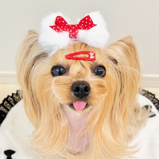 画像3: Ｗリボン・白フェイクファーリボン×赤ドット（ＪＤバレッタ）