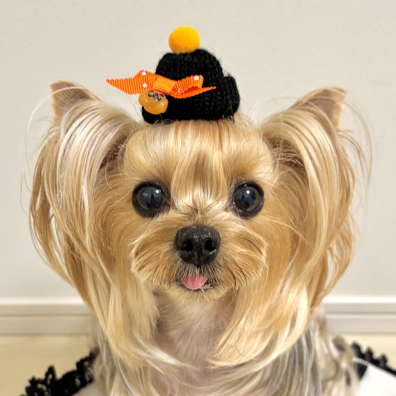 画像2: ニット帽・黒ニット帽・ジャックランタンチャーム×オレンジペタシャムグログラン×スワロフスキーラインストーン（ＪＤバレッタ）