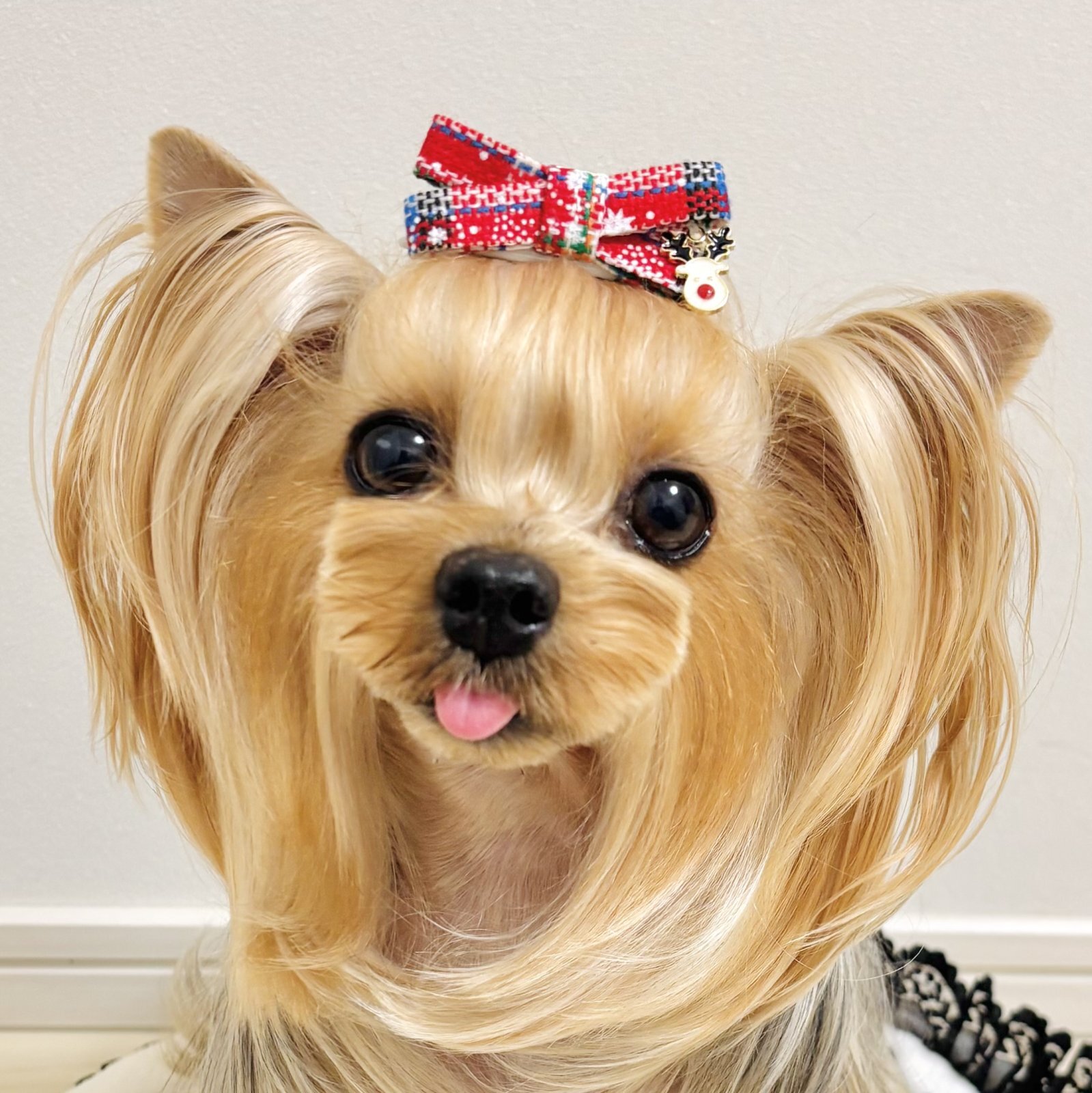 画像2: ツイードファブリックリボン赤系チェック模様&トナカイチャーム（JDバレッタ）