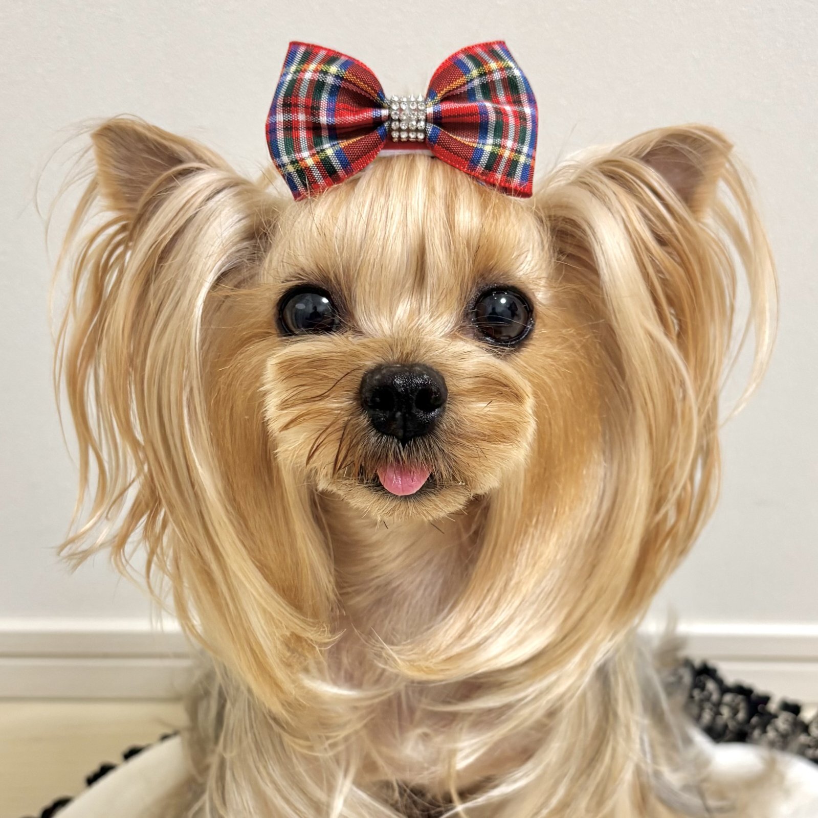 画像2: 赤系チェック模様＆ストーンテープ（ＪＤバレッタ）