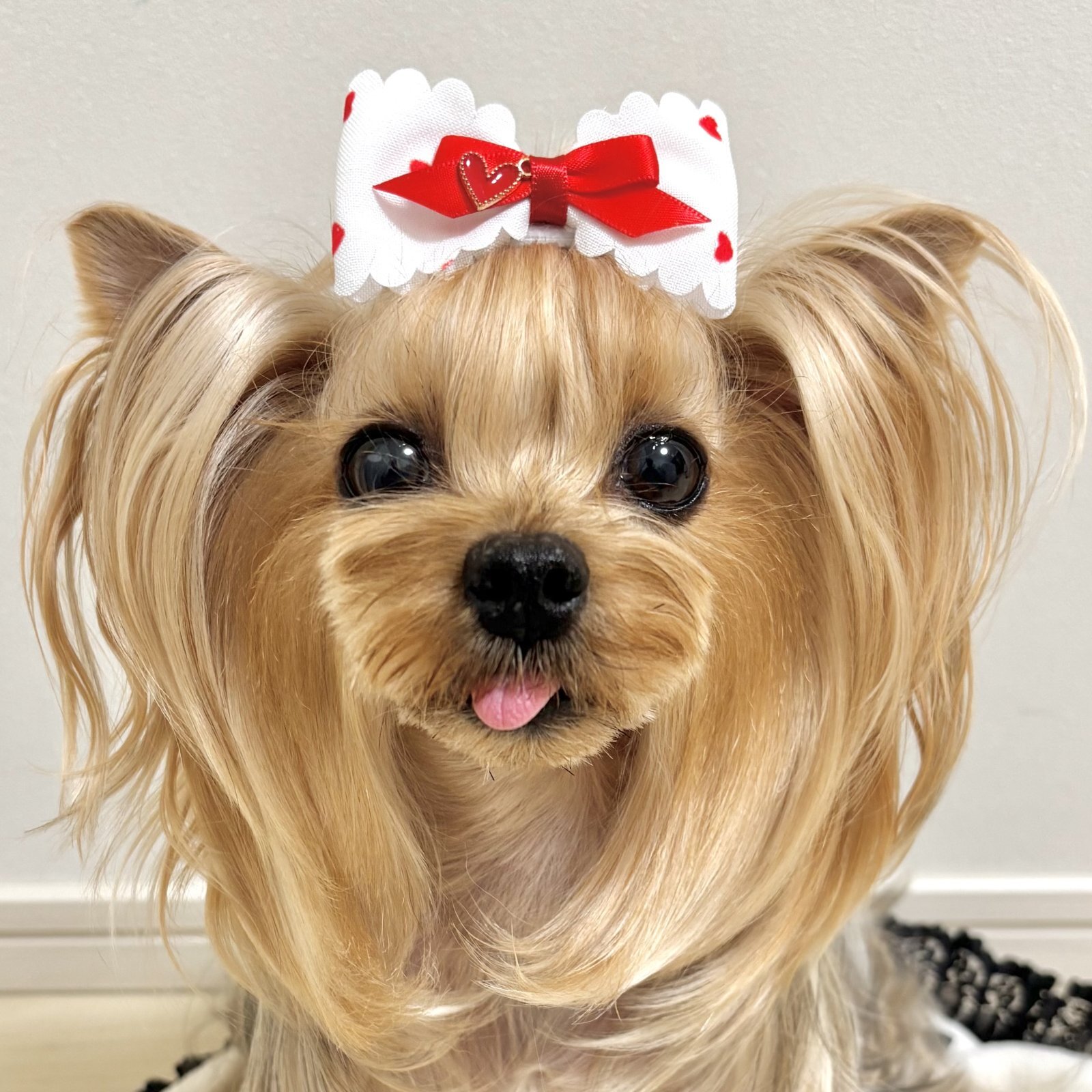 画像2: 布リボン・白地地赤フロッキーハート模様スカラップリボン×赤サテン&ハートチャーム（ＪＤバレッタ）