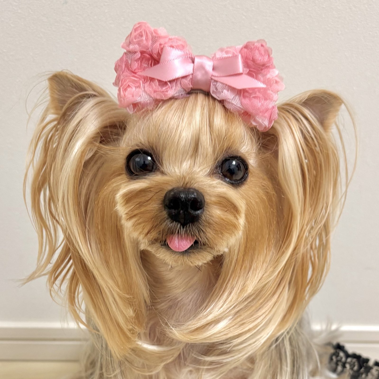 画像3: ピンクグラデーション薔薇リボン＆くすみぴんくサテン・Ｌサイズ（JDバレッタ）