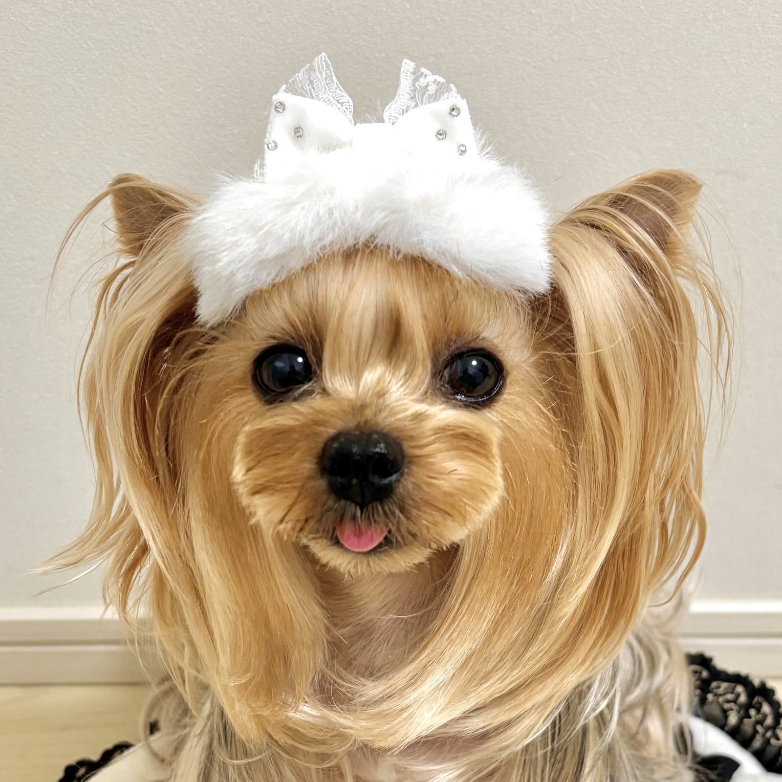 画像2: ３Dリボン・白エコファー×白レース×白スワロフスキーラインストーン付ベルベット（ＪＤバレッタ）